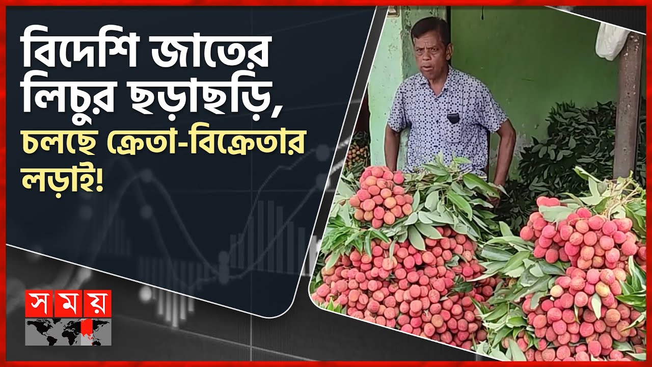  Litchi Bazar 