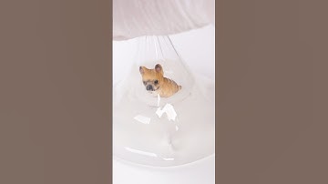 Making Slime Bubbles with #puppy inside - #relaxing, #slime #satisfying #oddlysatisfying
