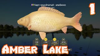 Russian Fishing 4 - Amber Lake Carp Farm 500 Silver Per Hour! #1