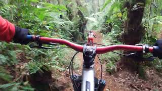 New Bahenol line 2 cikole bike park