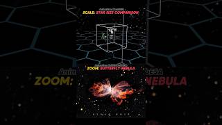 Scale: Star Size Comparison vs Butterfly Nebula 💀🤯 | #space #video #shorts