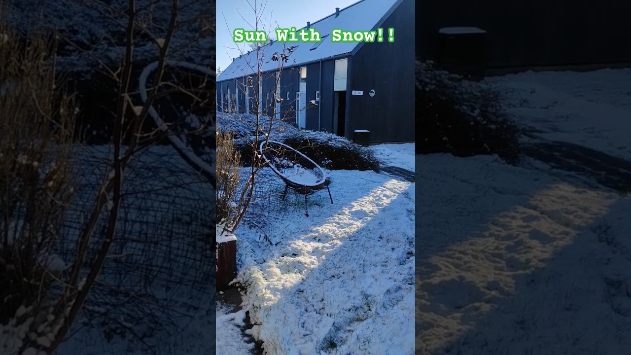 Sun With Snow in Denmark🙂  