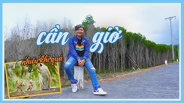 MIT TUNG TANG - Rừng sác Cần Giờ - EP.1