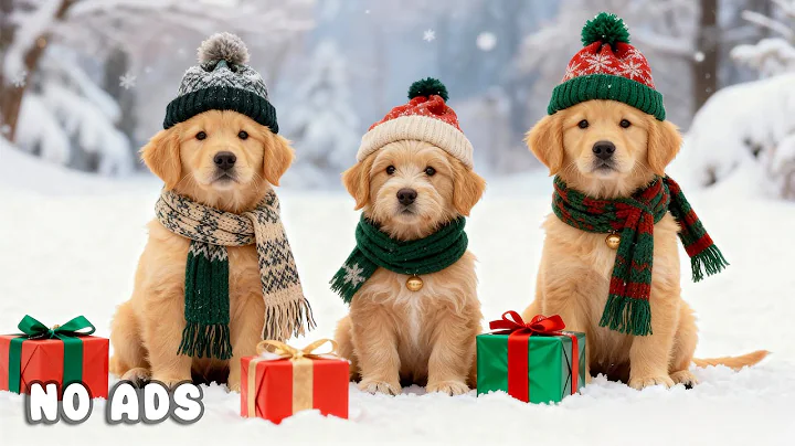 24 Hours of Dog TV for Dogs to Watch 🐶🎄 Calming Music for Running Dogs & Stress Relief ❄️🐾