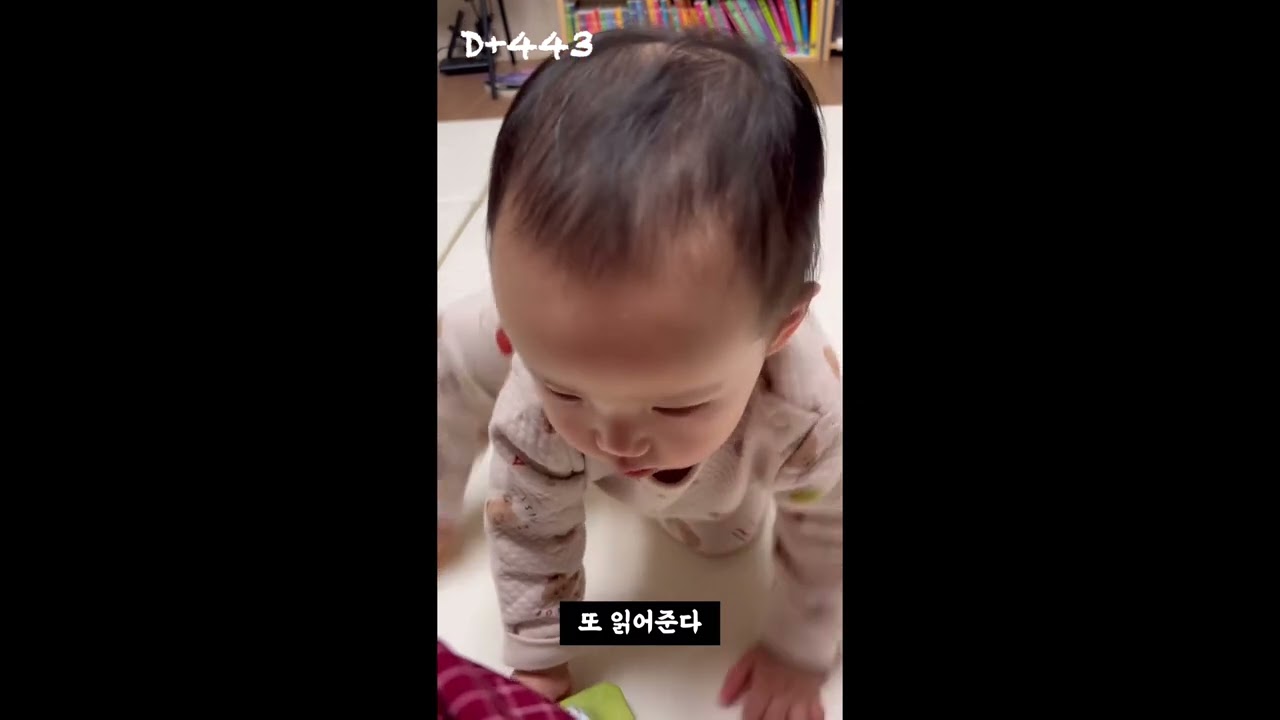 D+443💕 책 읽어달라고 하는 루나 