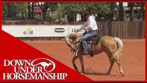 Clinton Anderson: Training a Rescue Horse, Part 12 - Downunder Horsemanship