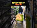 土なし7日で完成！牛が夢中になるハイドロポニック大麦飼料