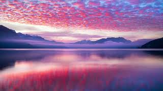 A Sky Full of Stars - Tony Egerton (Sing 2)