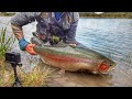 Fly fishing for the biggest trout in the world