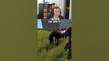 New Horse Farmbot 🤣💀 #rust #shorts #trausi