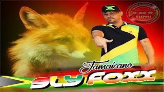 Melô Da Novinha - Sly Fo 2019