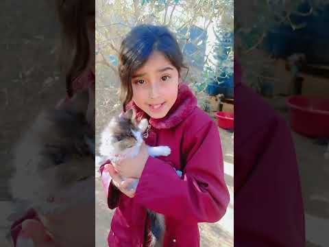 فتشني   اولادك  الطحان  تبع وبلع تيكتوك العاب سيارات ألعاب