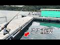 【海上釣り堀】この釣り方をトレースすれば高級魚が入れ食い状態になる