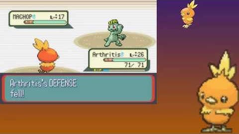 Pokemon Ruby   Torchic Only Run Brawly