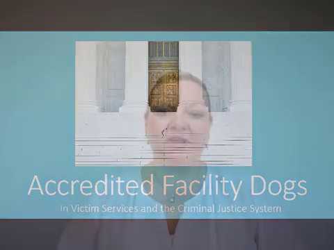 Vidéo: Normes internationales de dressage de chiens d'assistance