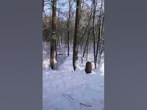 #Башкирия #природа #деревня #зима #лес - YouTube