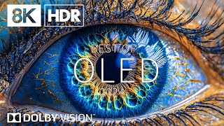 The Amazing World By 8K HDR | Dolby Vision™