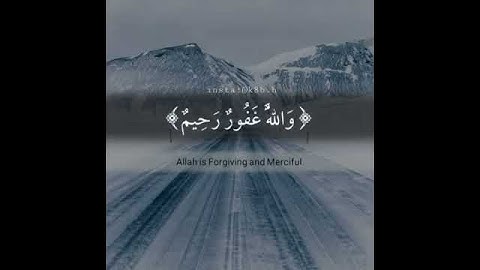 افلا يتوبون إلى الله ويستغفرونه تلاوة خاشعة ❤