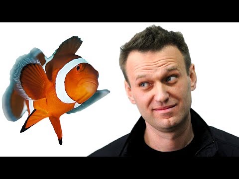 Как Навальный Родину