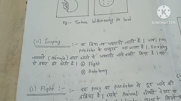 Antipredatar defences || msc first  semester || zoology || hindi  notes