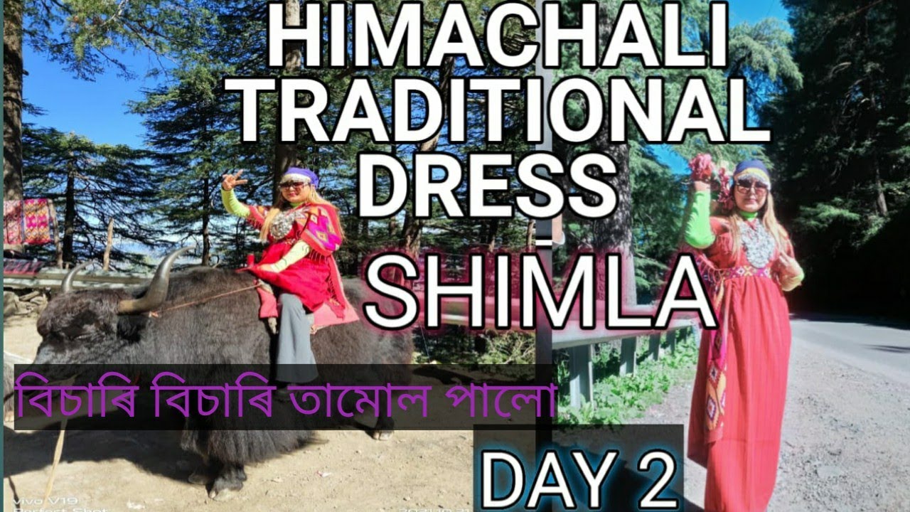Private tour of Shimla city & Kufri| Trip.com