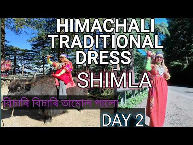 Shimla Manali Tour Packages| All Inclusive Trips With Kesari