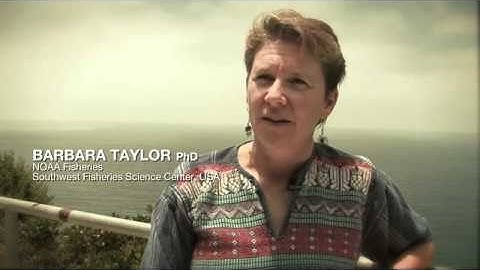 1. Vaquita- Last Chance for the Desert Porpoise