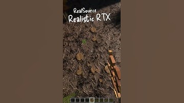 LEAF LITTER in Minecraft Bedrock 1.21.70 / DOWNLOAD RTX DEFERRED JAVA from www.realsourcepack.com