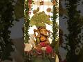 Lovely Decore for our favourite Ganpati Bappa 🙏 #OGanaraya #Ganesh