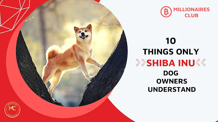 10 Things Only Shiba Inu Dog Owners Understand
