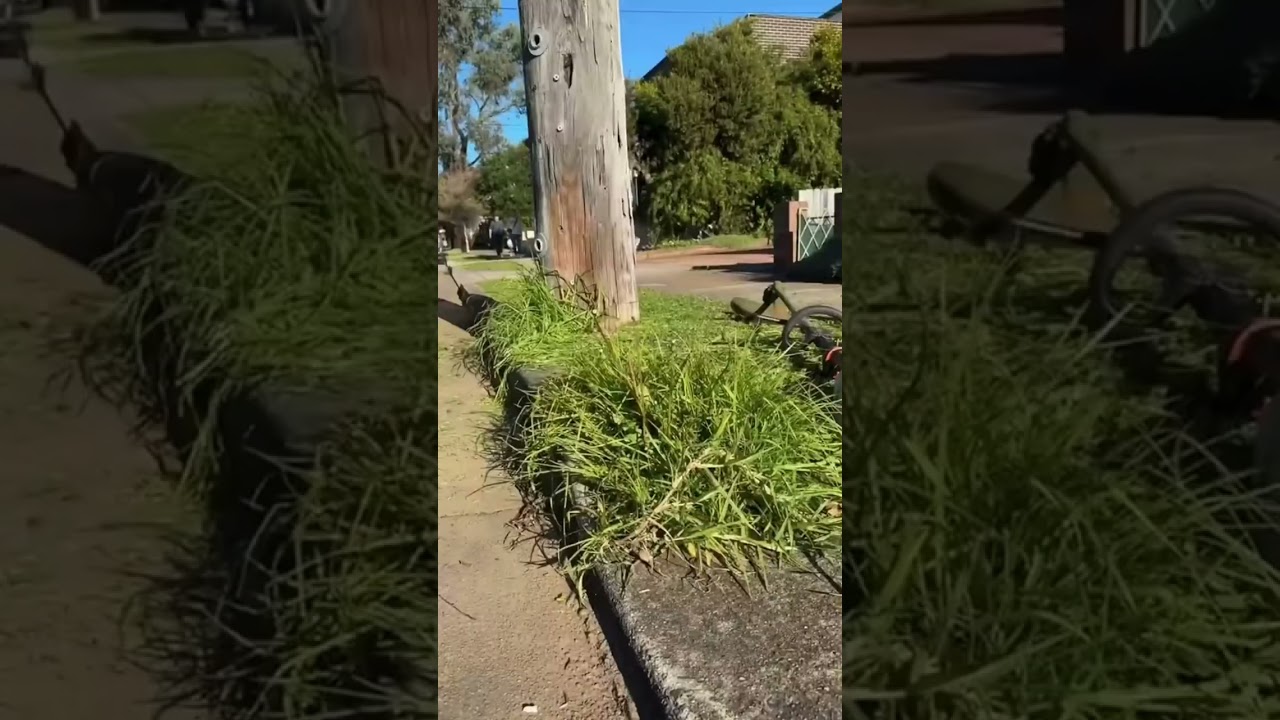 Get those lawn crispy! 📞 Call 131 546 get a free quote! #JimsMowing #LawnCare #LawnMowing #Edging