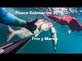 Pesca Submarina 2019 - Frio y Marea