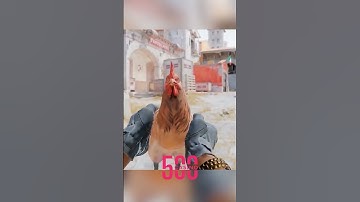 NEW UPDATE ANIMATION IN CS2 🤯 #shorts #csgo