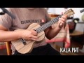 THE BARITONE UKULELE - Lesson One by UKULELE MIKE LYNCH ...