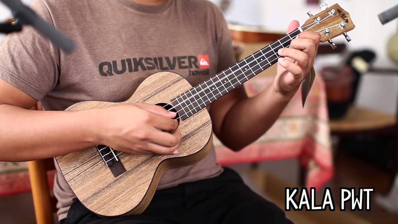 Top 9 Tenor Ukuleles Under $200 