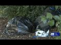 Springfield considers $5,000 fine for illegal dumping