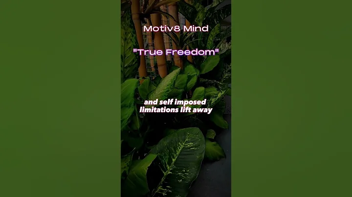 TRUE FREEDOM - Motivational Video #shorts #motivationalvideos