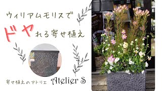 【寄せ植え】ウィリアムモリスでドヤれる寄せ植え【ガーデニング】