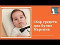 Открываем сбор средств для Вулпе Мартина