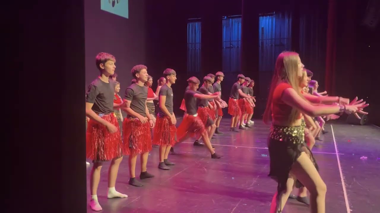 Mostra cultural 2025