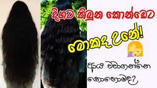 ??sinhala sinhala hair growth tips | quick hair growth tips | solution for hair fall| dm secret