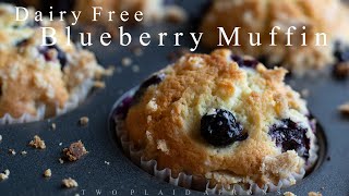 How To Make Blueberry Muffins | Dairy Free by Two Plaid Aprons 15,748 views 3 years ago 5 minutes, 54 seconds