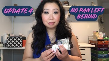 NO PAN LEFT BEHIND | UPDATE 4 | USING EVERY SINGLE PAN OF MY EYESHADOW COLLECTION