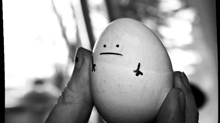The egg