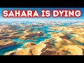 Something Strange Is Happening in the Sahara - And It’s Not Good
