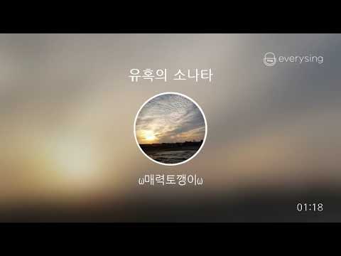 [everysing] 유혹의 소나타
