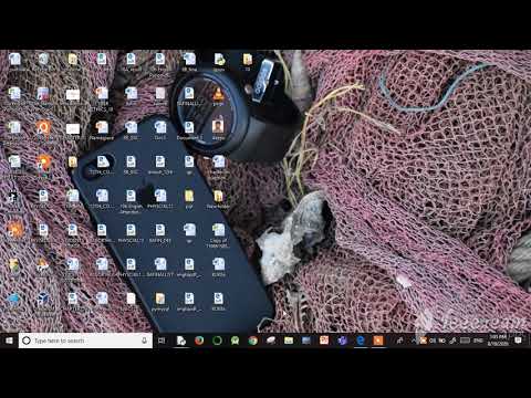 Interactive mode of Python
