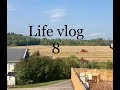 Life - vlog 8 / Наши леса / Что же у нас случилось  /