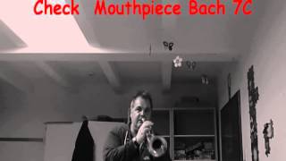 Check Mouthpiece Bach 7C