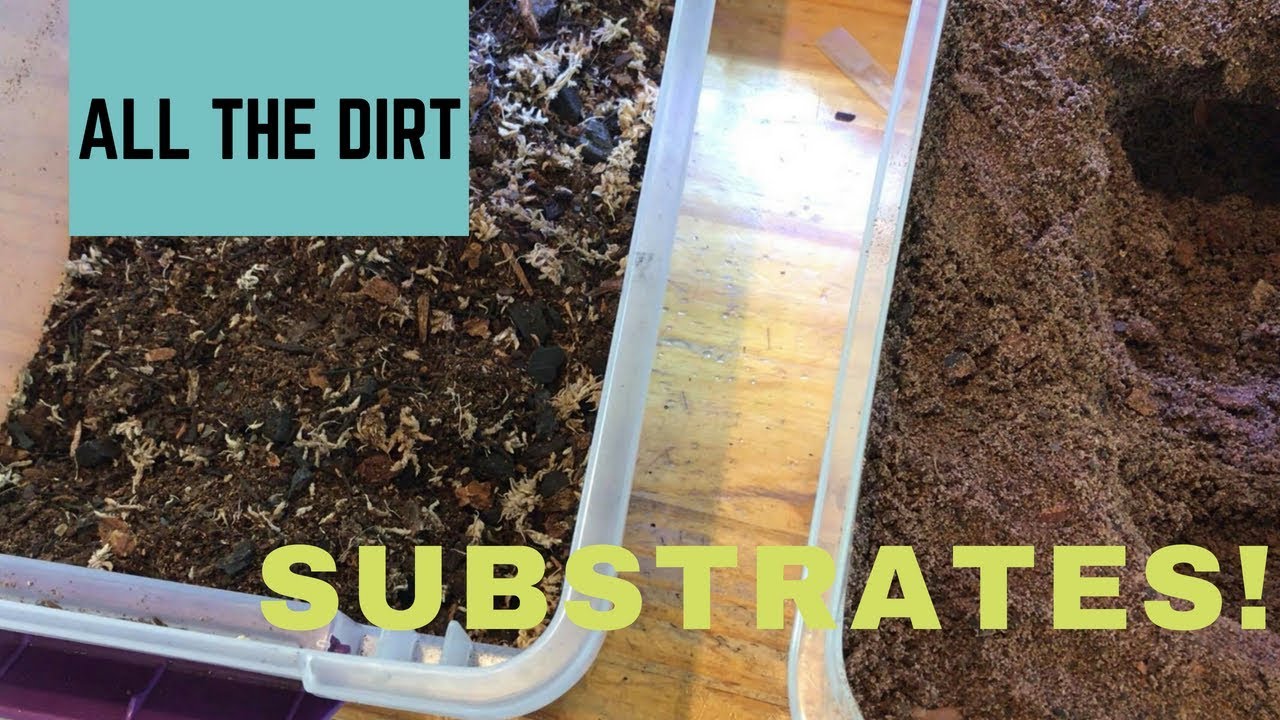 Intro to Substrates Tropical and Arid mixes YouTube